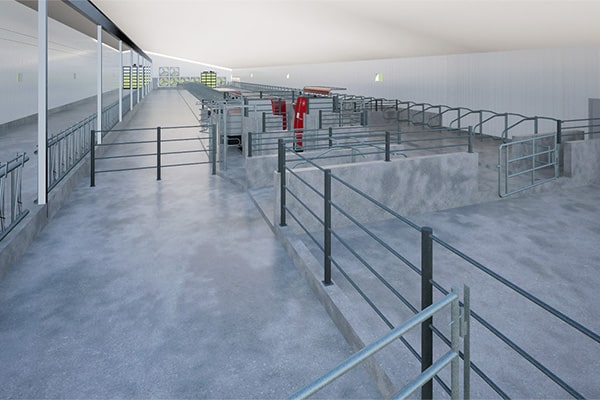 Dairy - Design and Build Dairy - Design and Build